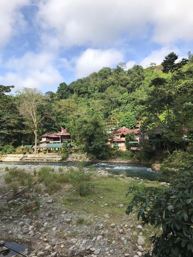 Thomas' Retreat Bukit Lawang Exterior foto
