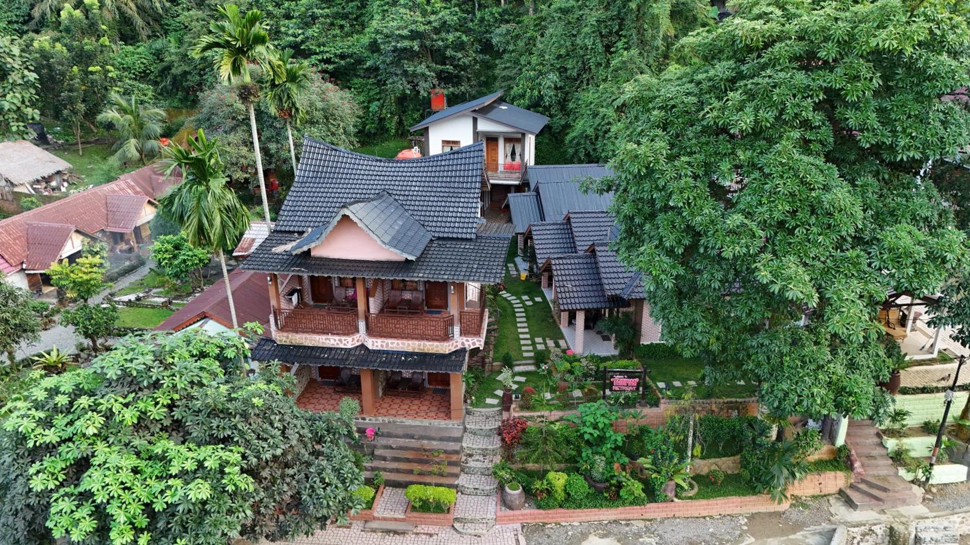 Thomas' Retreat Bukit Lawang Exterior foto