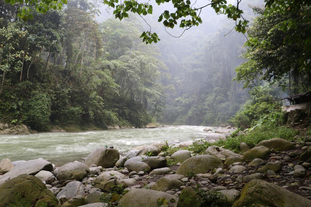 Thomas' Retreat Bukit Lawang Exterior foto
